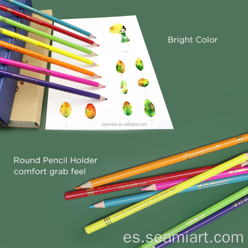 Artista de calidad premium 48 Color Color Pencils Set